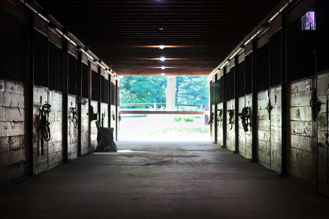 Horse Boarding In Chardon Ohio Geauga County