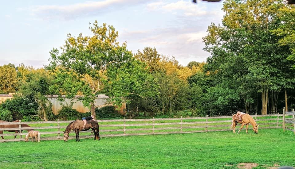 Sonny Brook Farm - Horse Boarding Farm in Middletown, Connecticut