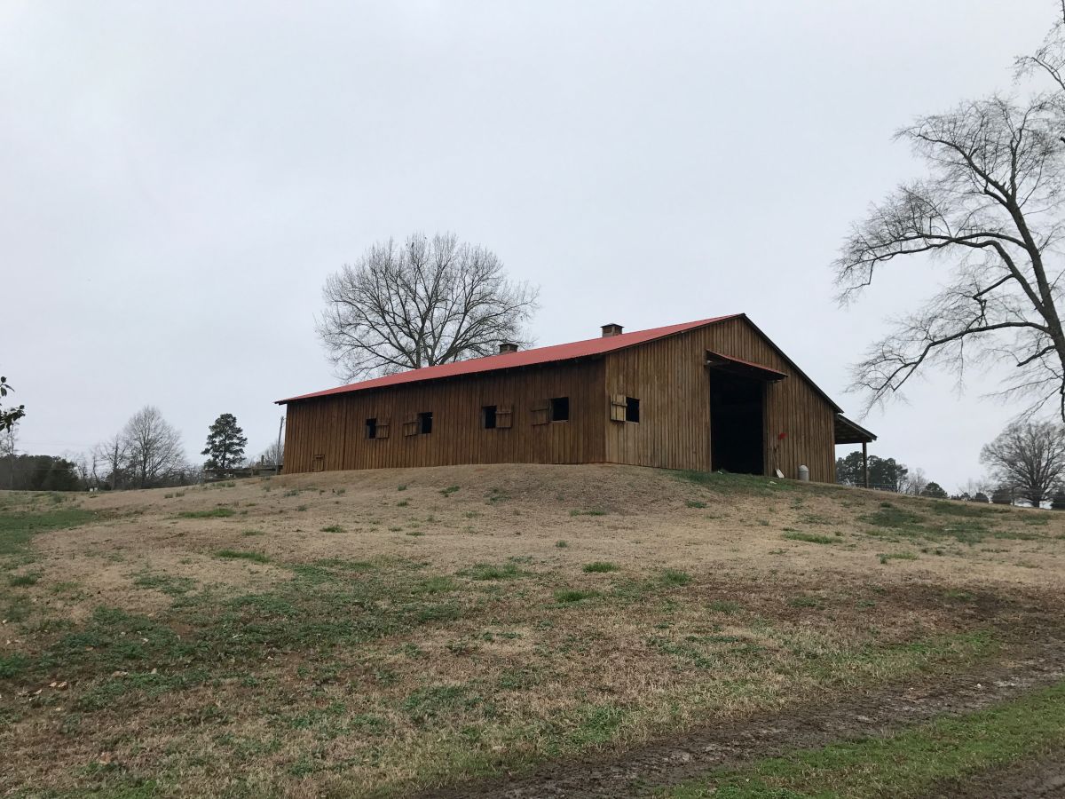 Horse Boarding In Eastover South Carolina Richland County