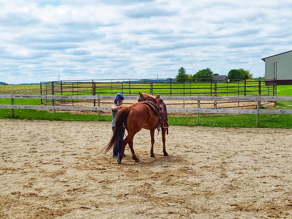 Dakota Stables Quality Horse Boarding Horse Boarding Farm in