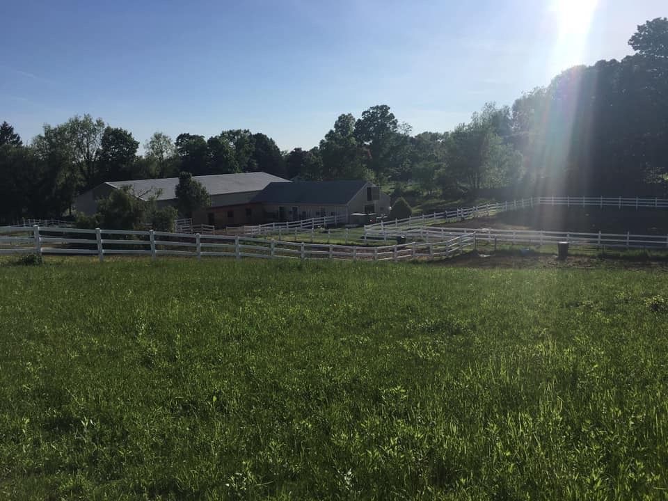 dreamview stables