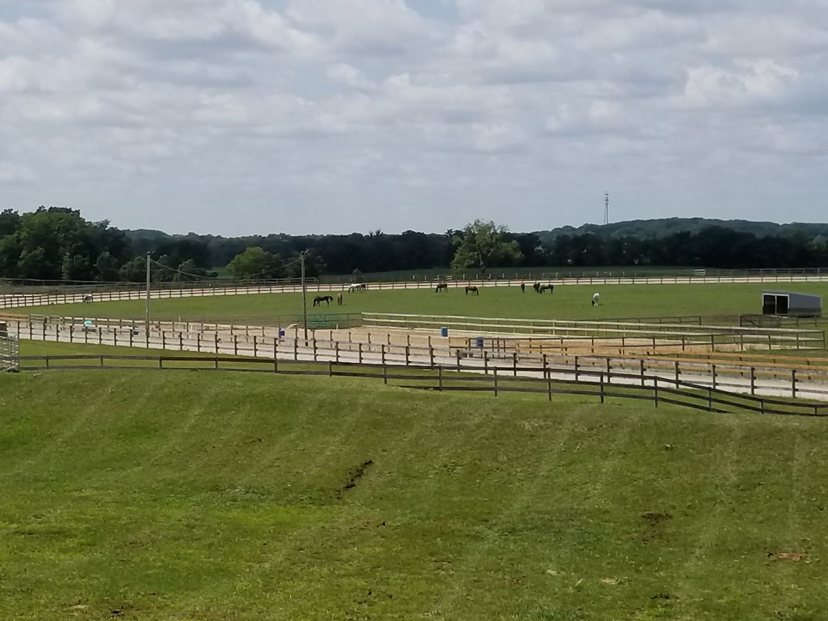 Dover Stables - Horse Boarding Farm in Waterford, Wisconsin