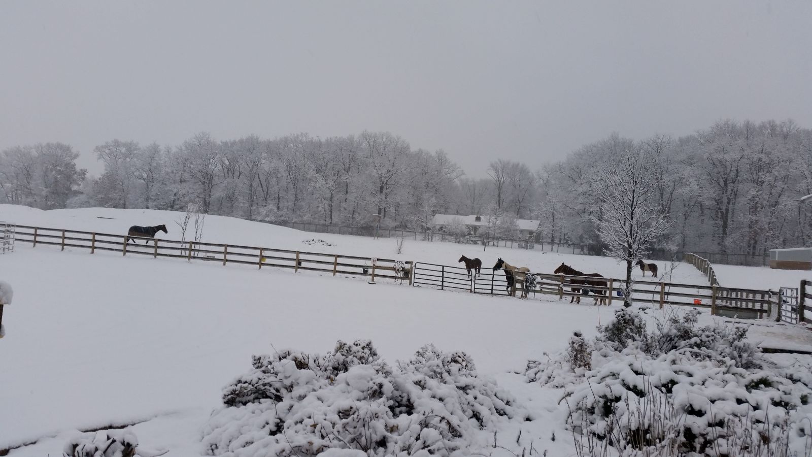 Dover Stables - Horse Boarding Farm in Waterford, Wisconsin