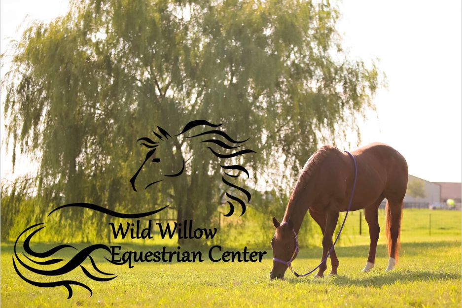 Wild Willow Equestrian Center Horse Boarding Farm in Zionsville, Indiana