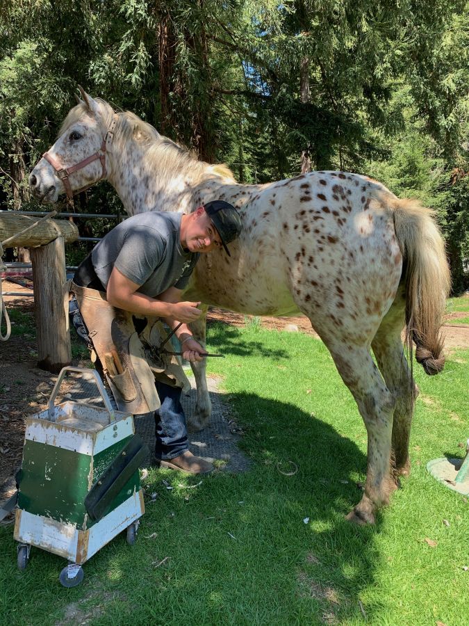 Michael Branson Horseshoeing Farrier in Santa Cruz, California