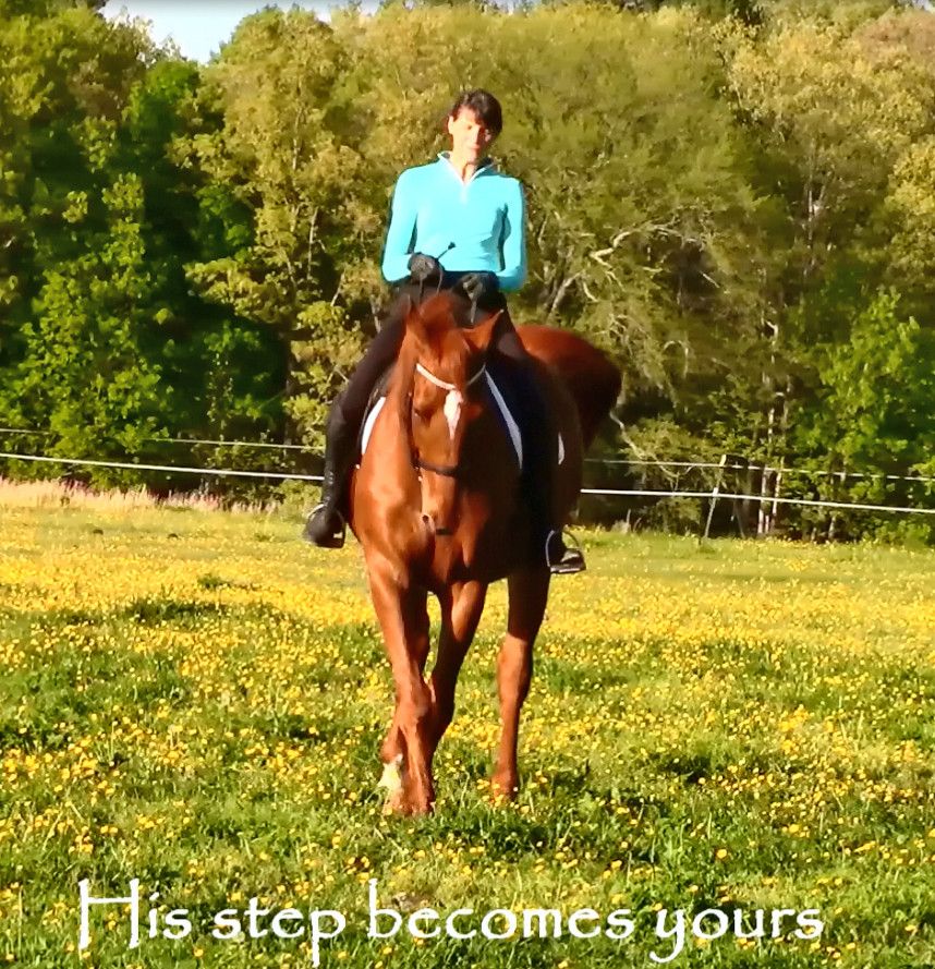 Linda Bertschinger - Riding Instructor in Edinburg, Virginia