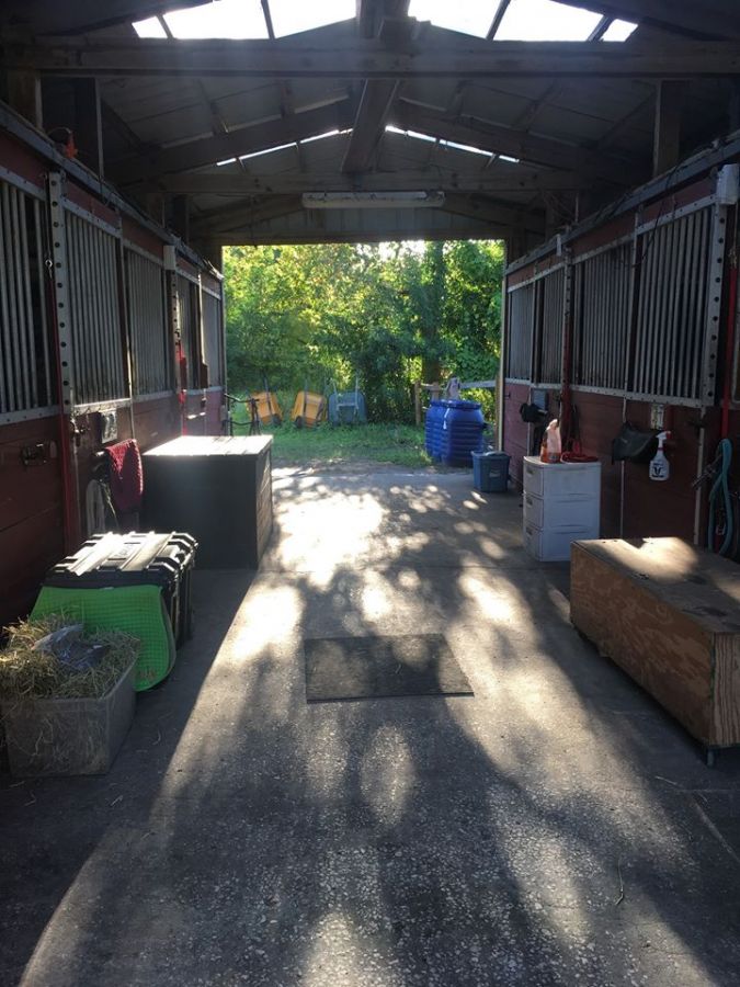 flatwoods farm - horse boarding farm in palm bay, florida