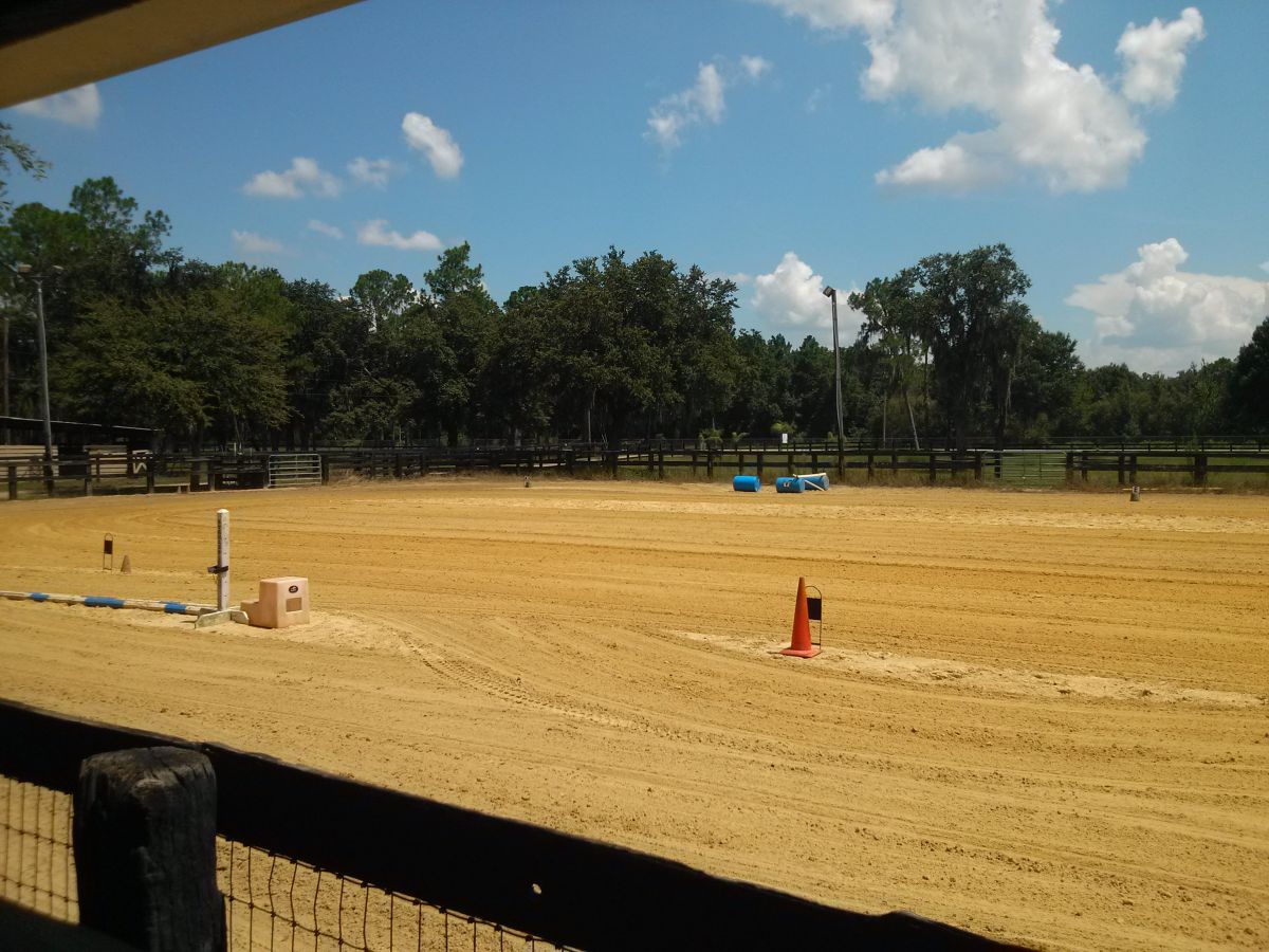 LAZY J FARM OCALA Horse Boarding Farm in Ocala, Florida