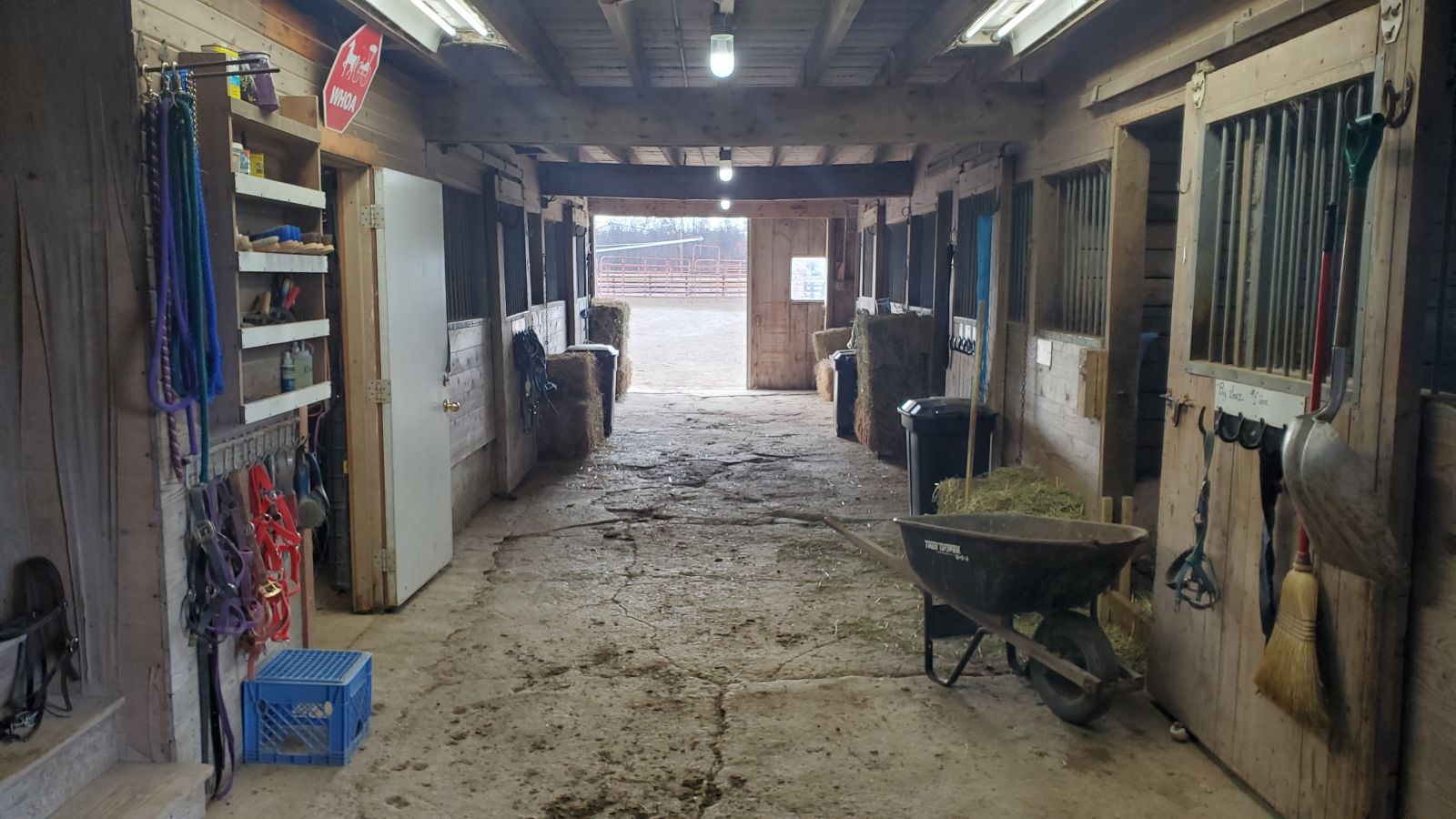 stables celina localhorse