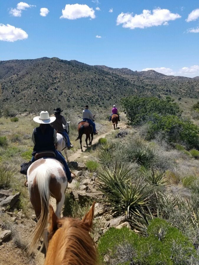 Tombstone Livery Stable and RV Park - Horse Boarding Farm in Tombstone ...