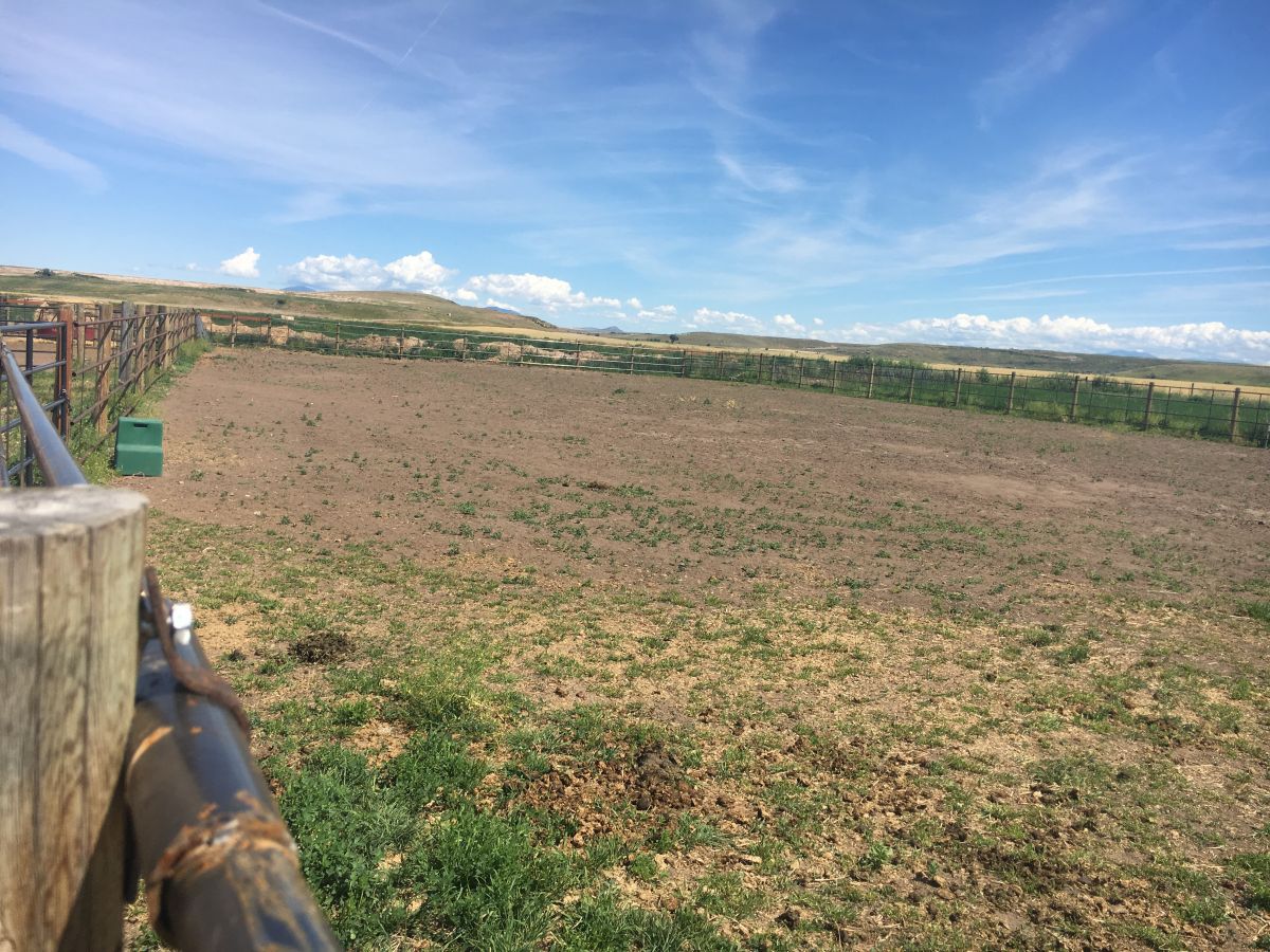 Big Sky Horse Boarding - Horse Boarding Farm In Great Falls, Montana