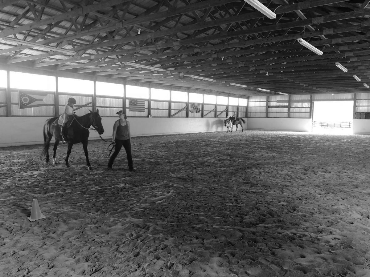 Chesapeake Stables - Horse Boarding Farm in Waynesville, Ohio