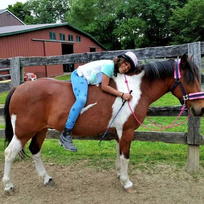 Lexy Hall Stables - Horse Boarding Farm in Campbell Hall, New York