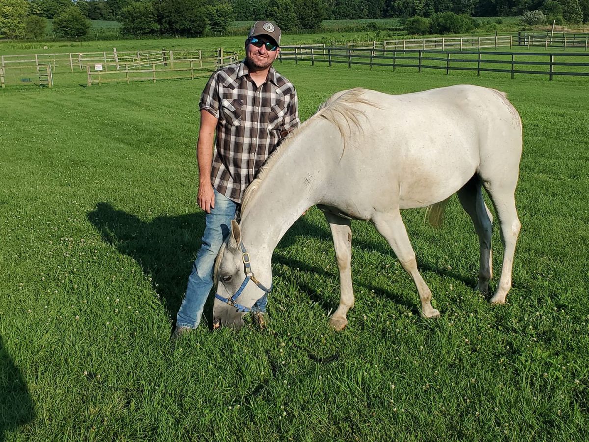 Honeycreek stables - Horse Boarding Farm in New Carlisle, Ohio