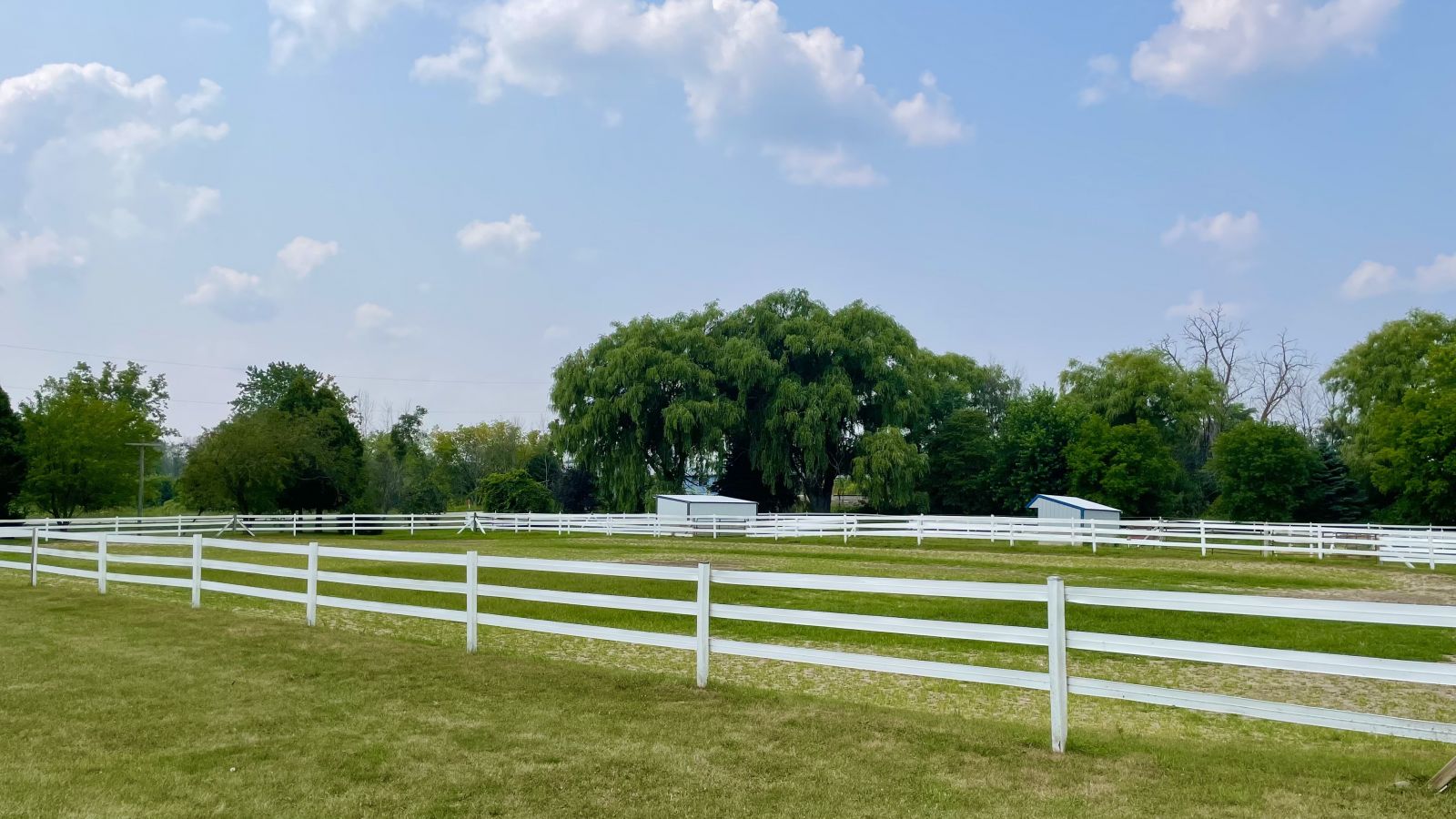 the-best-horse-boarding-near-me-florida-independent