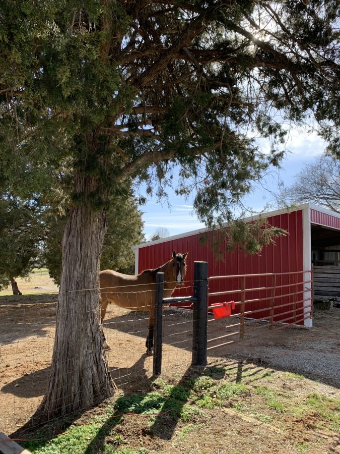 Sweet Iron Stables - Horse Boarding Farm in Rockfield, Kentucky