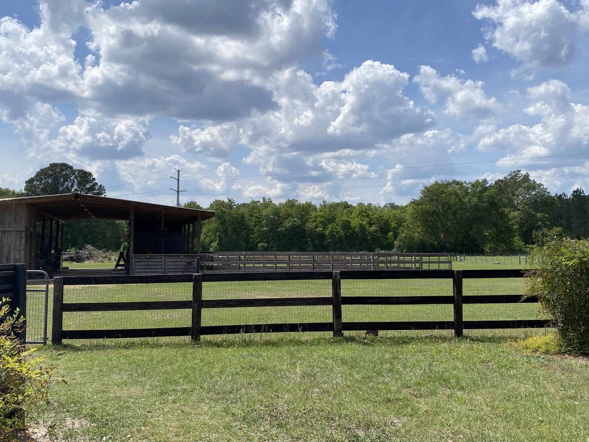 Private Boarding. Horse Boarding Farm in Jacksonville, Florida