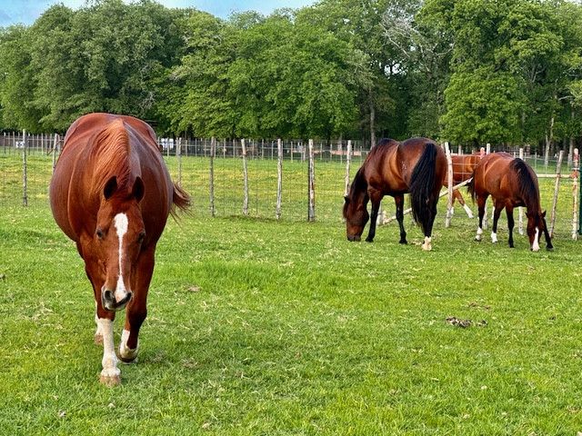 Visit Gambel Oaks Ranch