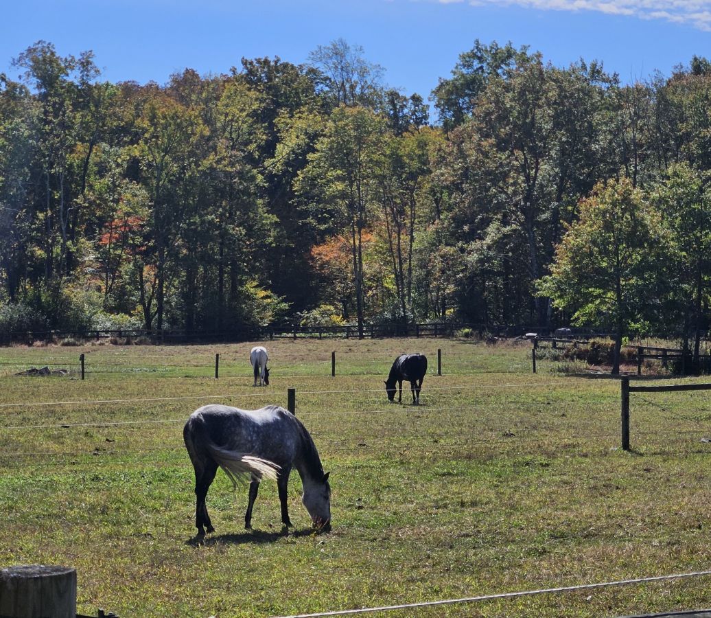 Visit Cornerstone Farm