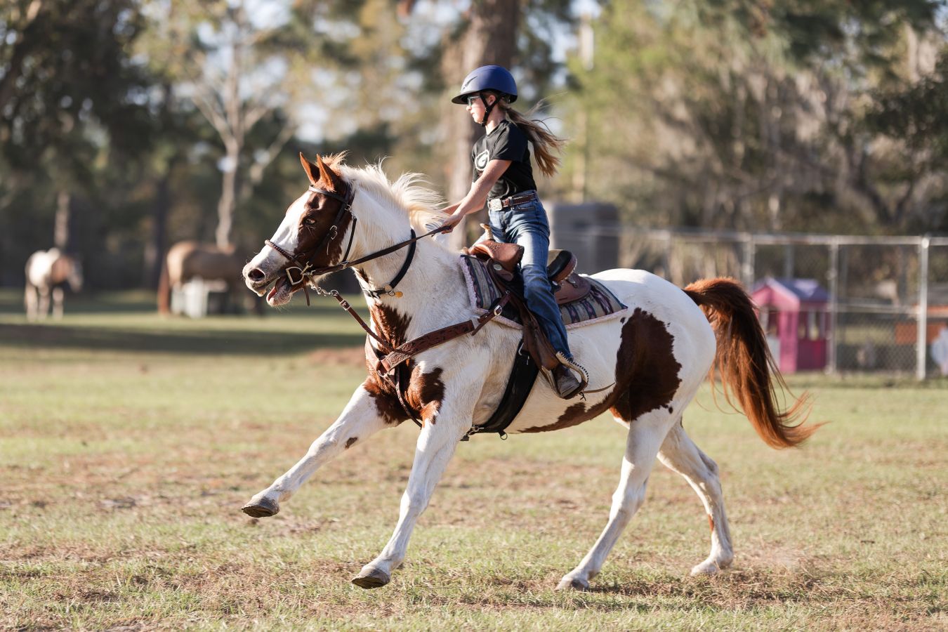 Patriots Ranch - Horse Boarding Farm in Brunswick, Georgia