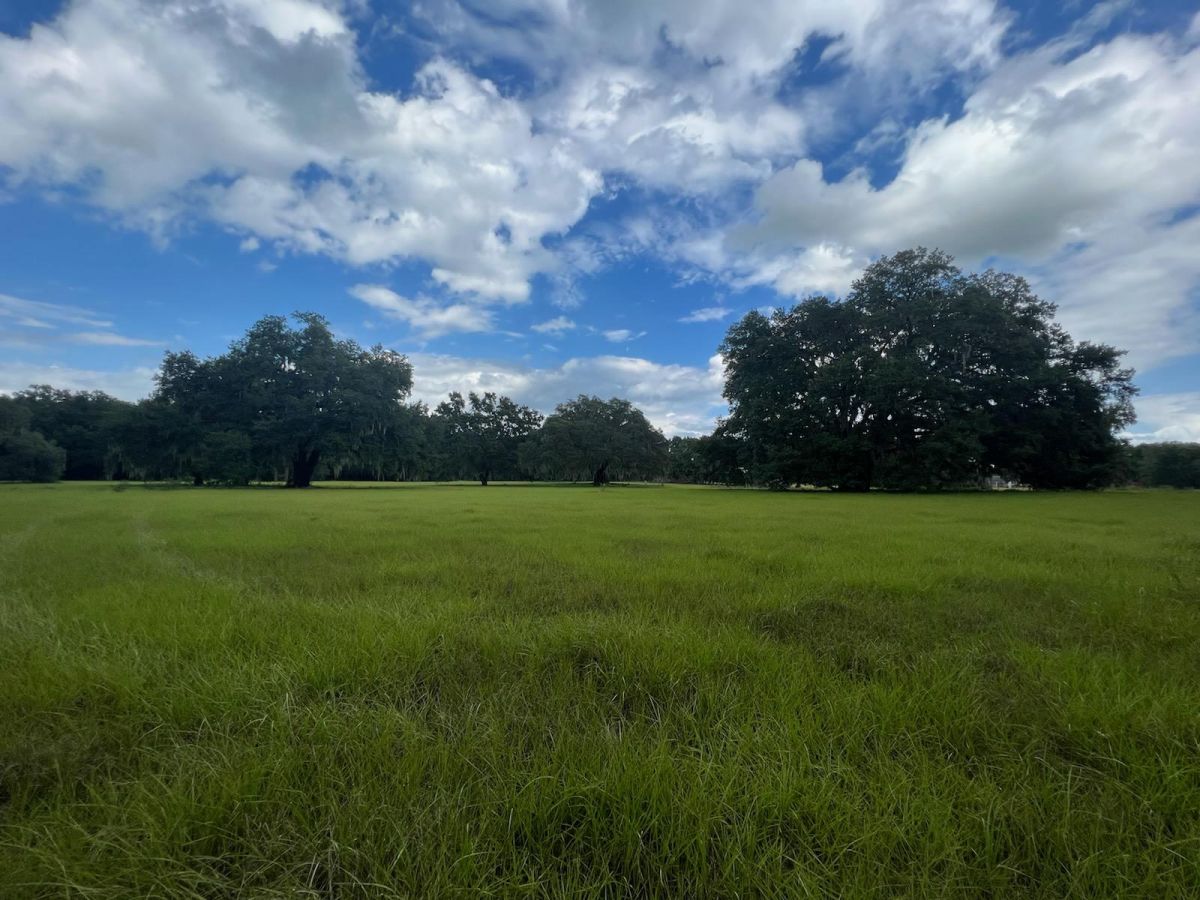 Visit OCALA, FLORIDA, 15.2 acres - vacant land for sale-Parsley Real Estate, Inc.