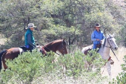 Visit La Hacienda Equine Boarding