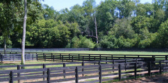 New Vintage Farm - Riding Instructor in Woodstock, Georgia