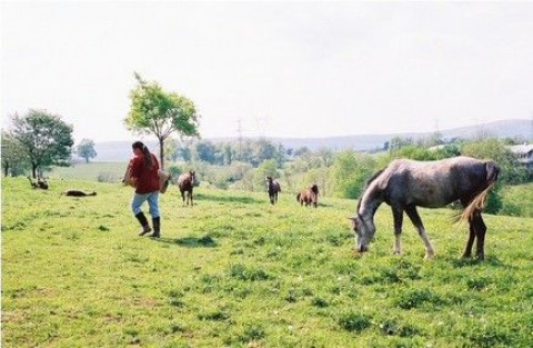 Visit Harley Farm