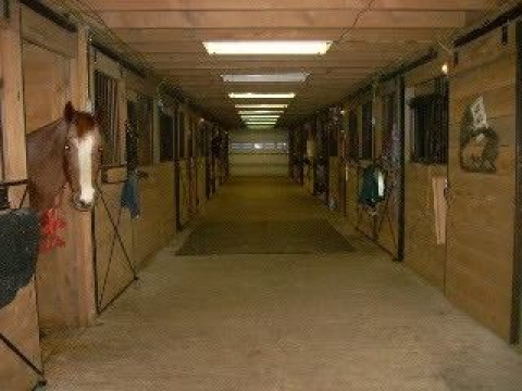 Visit Copper Top stables