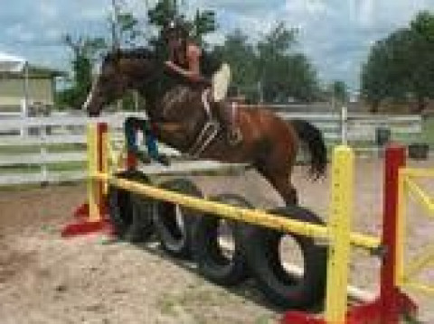 Visit Bridle Brook Stables, Inc.