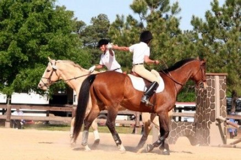 Visit Second Chance Farm Riding Academy