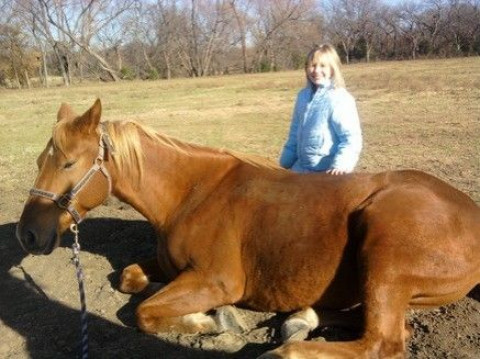 Diamond B Stables - Riding Instructor In Fort Worth, Texas