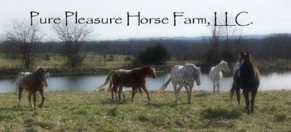 Visit Pure Pleasure Horse Farm, LLC