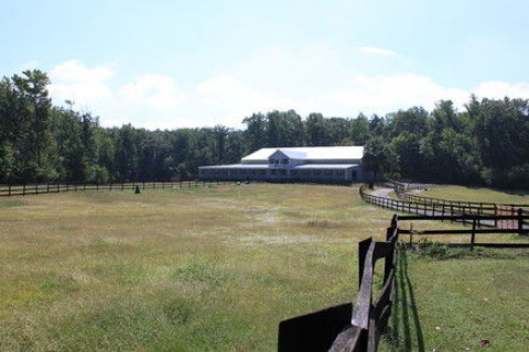 Visit Equidistance Horse Center