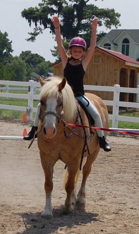 Willowgait Farm - Horse Camp in Knotts Island, North Carolina