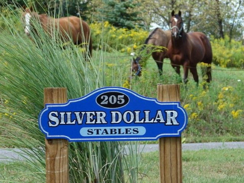 Horse Boarding In Cranberry Twp Pennsylvania Butler County