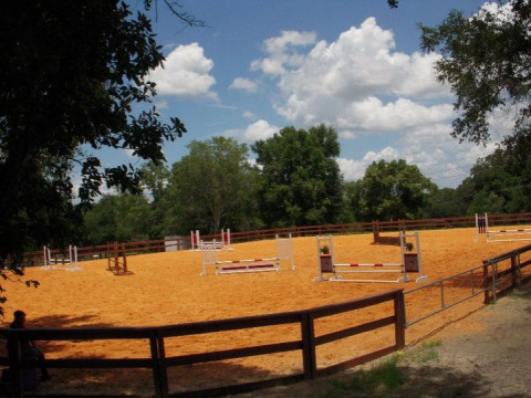 Visit Top Notch Hunter, Jumper, Equitation Horses and Ponies.