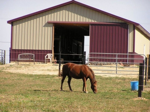 jackson rockgrinder farm info boarding michigan horse county facility stall pasture quiet friendly offer location services