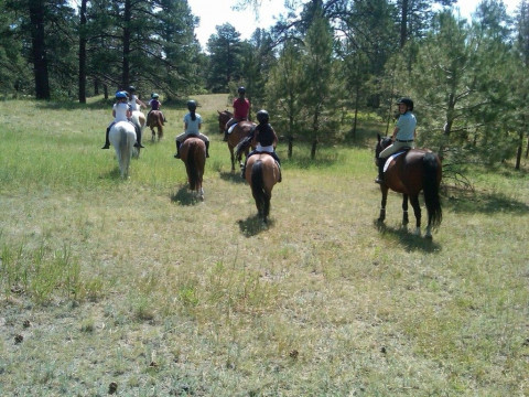 Horse Boarding In Bennett Colorado Adams County