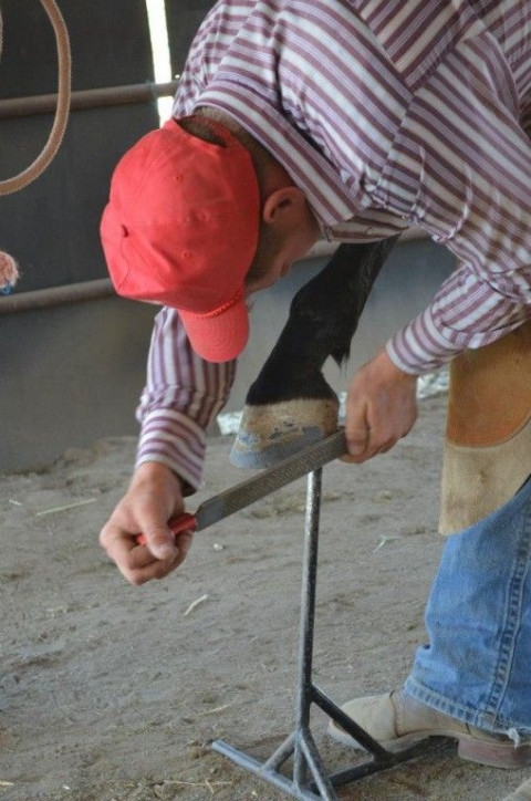 Diamond G Farrier Service - Farrier in Siloam Springs 