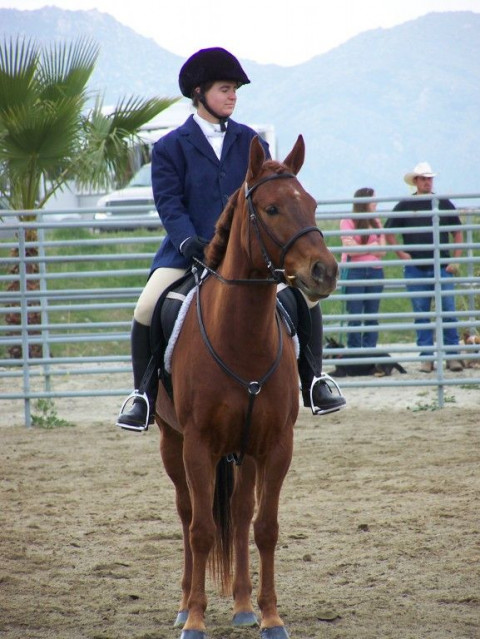 Visit 2 Palms Horsemanship Center