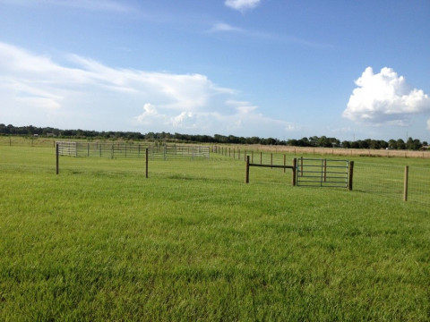 Visit Sebring, FL Horse Boarding