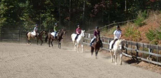 wilkes wilkesboro stables purlear therapeutic facilitate