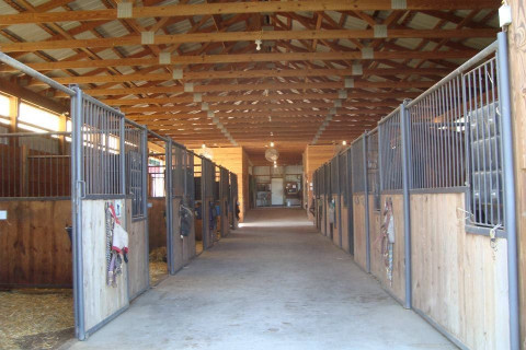 Horse Boarding in Reading, Pennsylvania (Berks County)