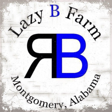 Visit The Lazy B Farm