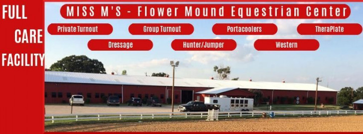 Horse Boarding In Flower Mound Texas Denton County [ 270 x 729 Pixel ]