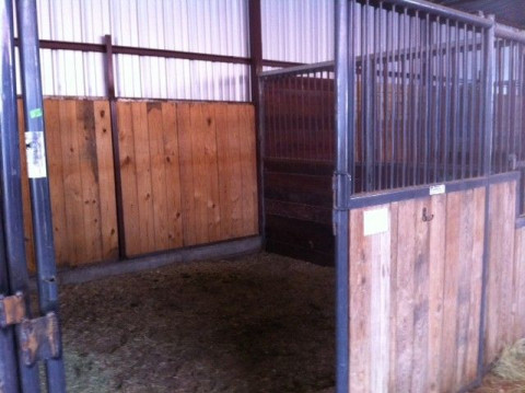 Younger Stables - Horse Boarding Farm in Azle, Texas