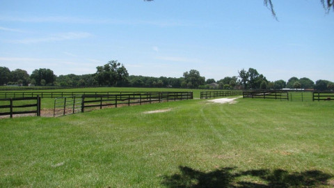 Cornerstone Farm - Horse Boarding Farm in Ocala, Florida