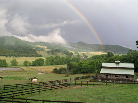 Blacksburg Stables - Horse Boarding Farm in Blacksburg 