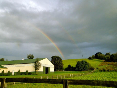 Visit North Jersey Equestrian